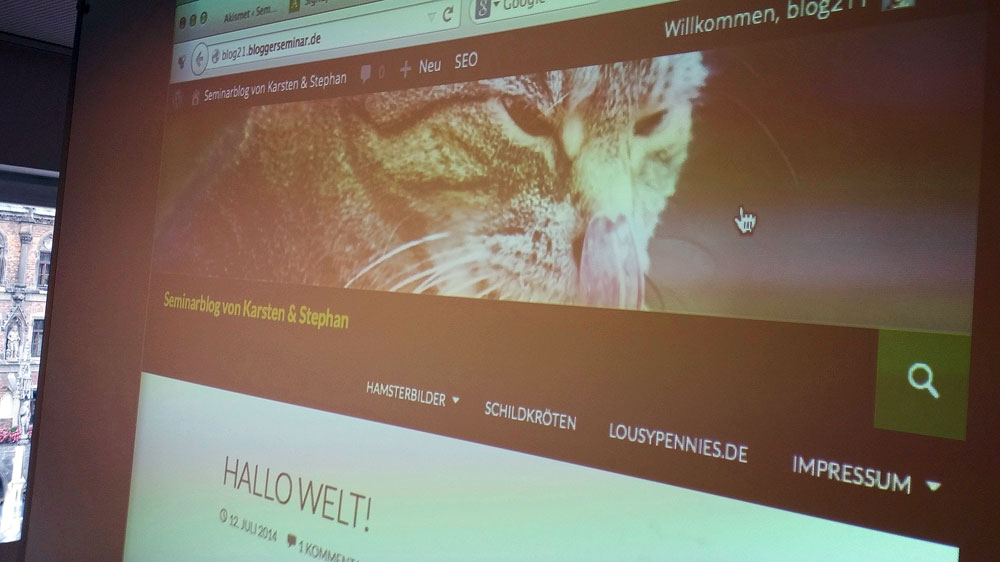 Bloggerseminar-Katze